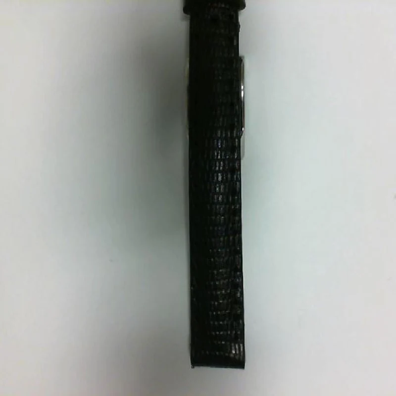 Bracelet de montre — 5381001ST