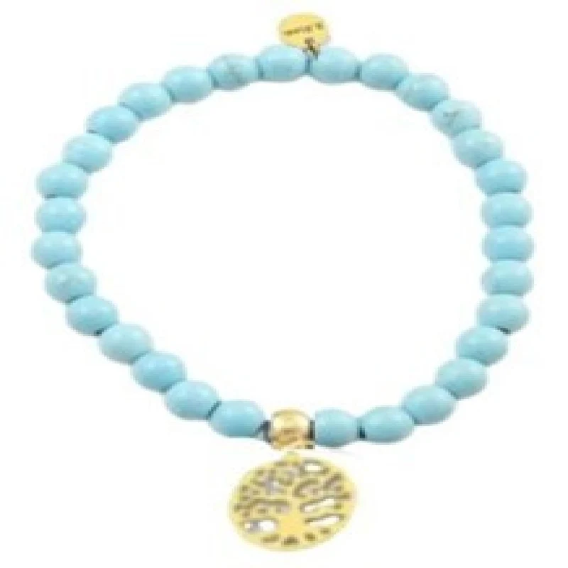 Bracelets Simples P.Couleur Graduation Polaris Ambre Inoxydable Galaxie Édition – Acier
