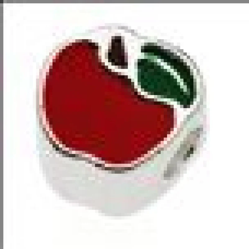 Breloque Charme Longue Définition Pour Bracelet Et Pendentif Collection AG925 Argent